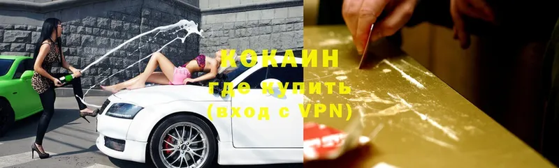 где купить   MEGA маркетплейс  COCAIN FishScale  Заволжье 